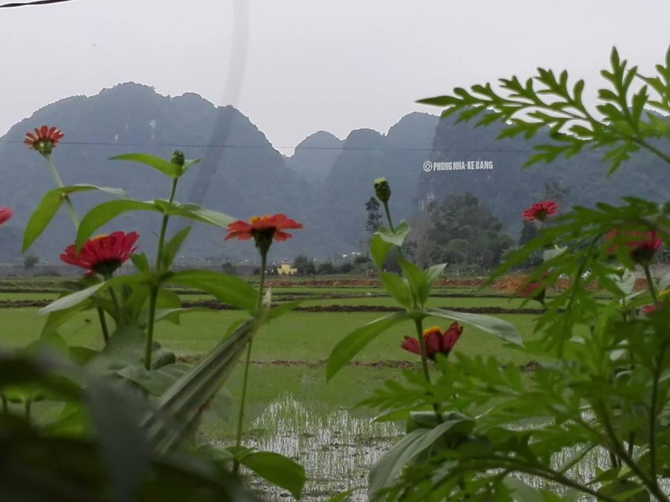 Hung Phat Bungalow Phong Nha Exterior photo