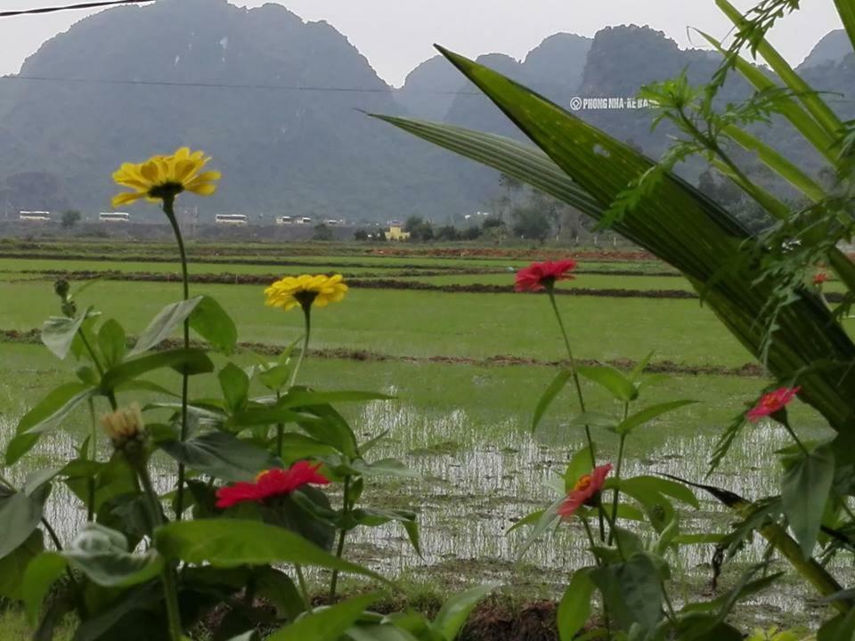 Hung Phat Bungalow Phong Nha Exterior photo